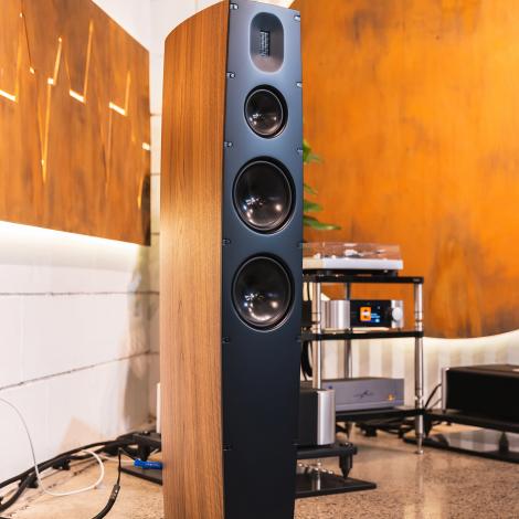 SCANSONIC Q10 (WALNUT)