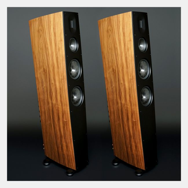 SCANSONIC Q10 (WALNUT)