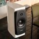 DYNAUDIO CONFIDENCE 20A