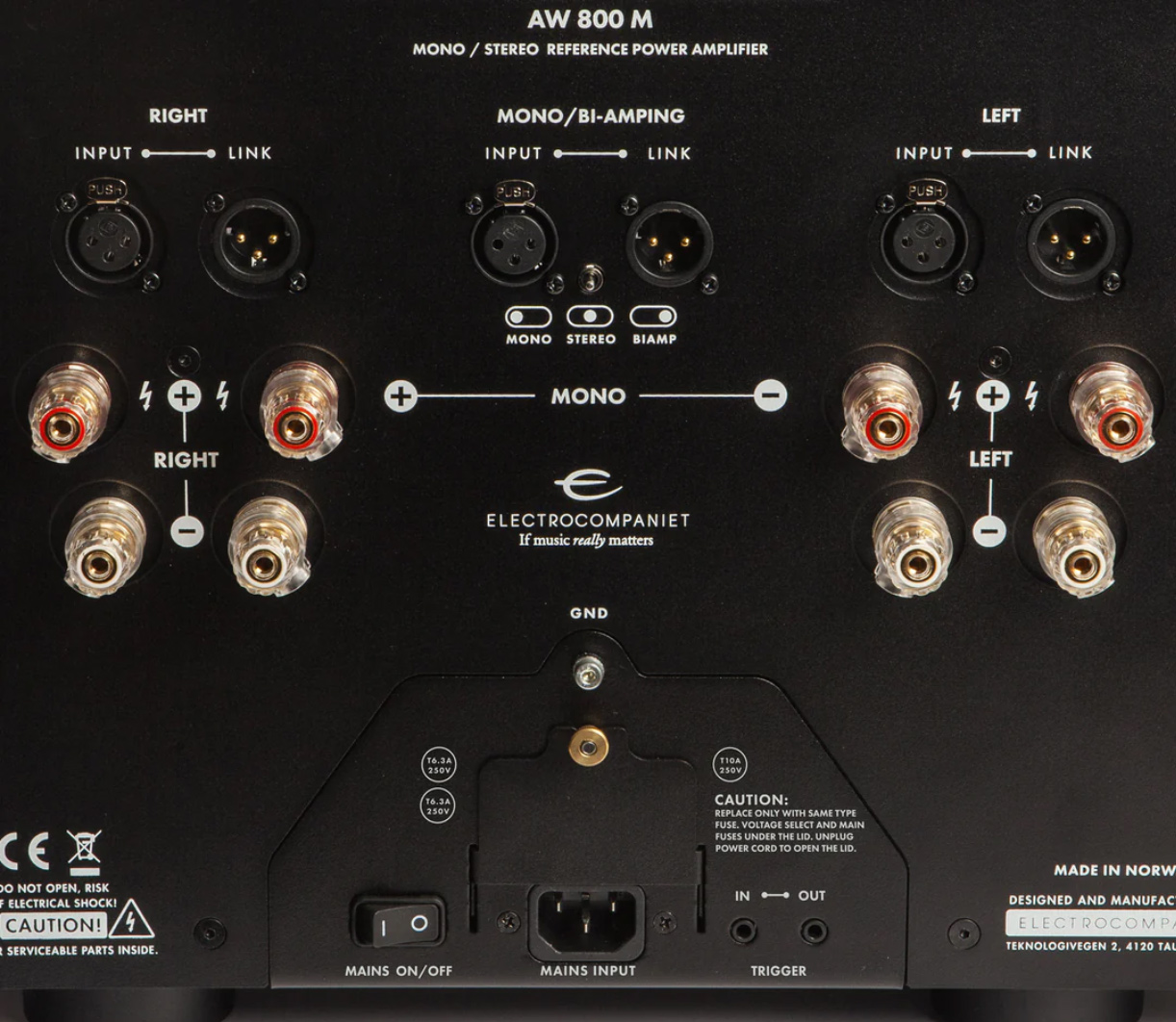 electrocompaniet-AW800M-monoblock_poweramplifier_rear-1jpg