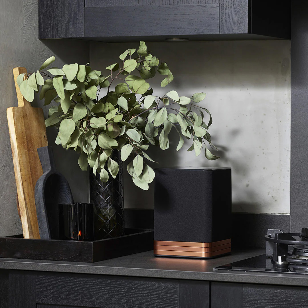electrocompaniet_tanasl2_wireless_speaker-1