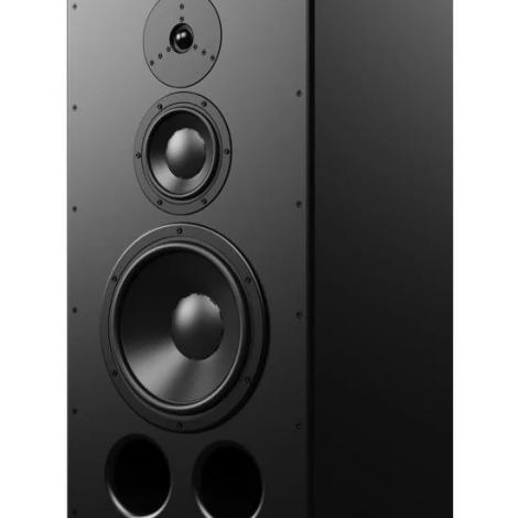 DYNAUDIO C3 MKII