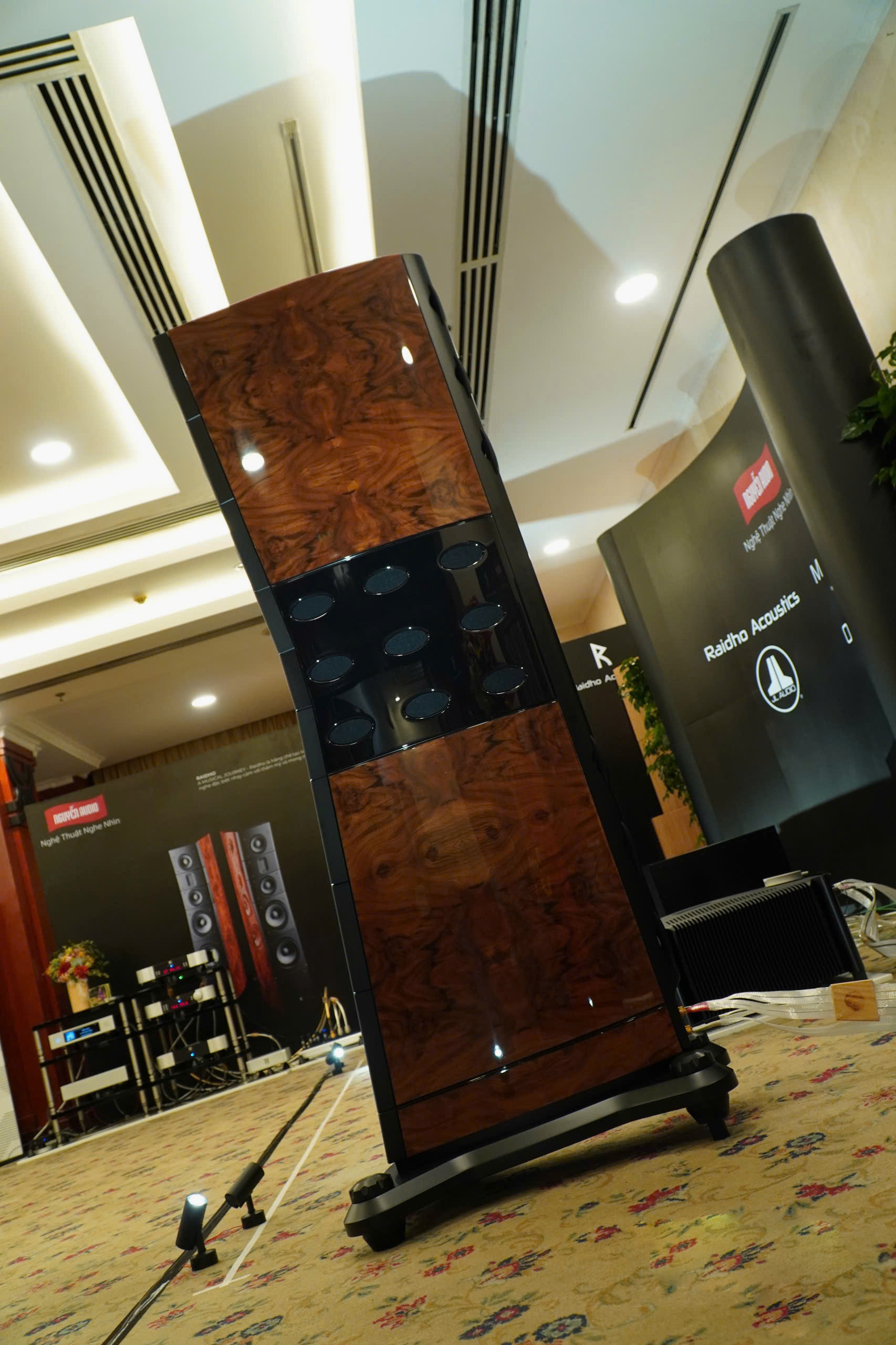 loa-nghe-nhac-high-end-Raidho-TD6-4